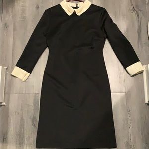 Ivanka Trump Dress